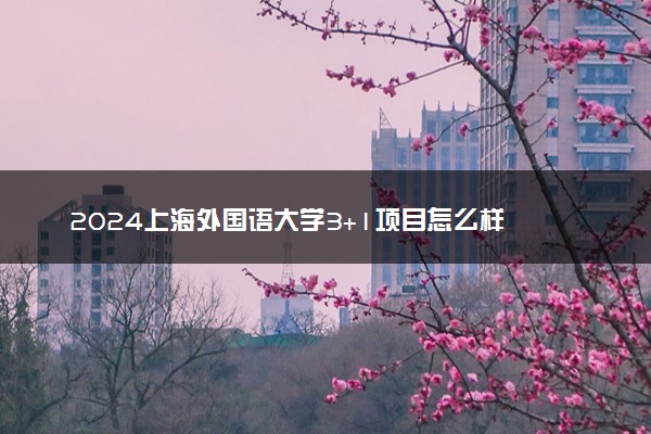 2024上海外国语大学3+1项目怎么样 和国外哪所院校合作