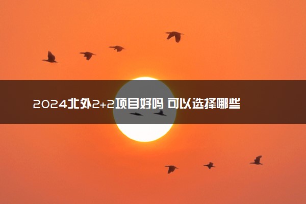 2024北外2+2项目好吗 可以选择哪些专业