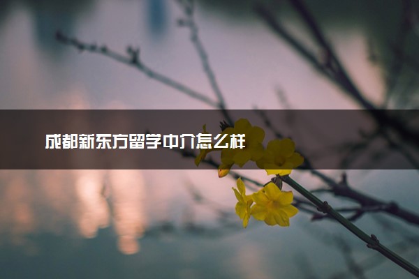 成都新东方留学中介怎么样