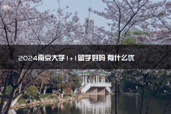 2024南京大学1+1留学好吗 有什么优势