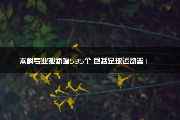 本科专业拟新增535个 包括足球运动等176种专业