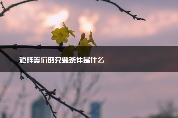 矩阵等价的充要条件是什么