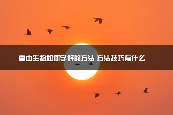 高中生物如何学好的方法 方法技巧有什么