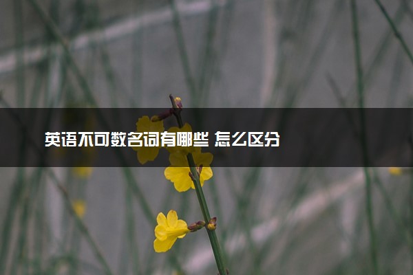 英语不可数名词有哪些 怎么区分