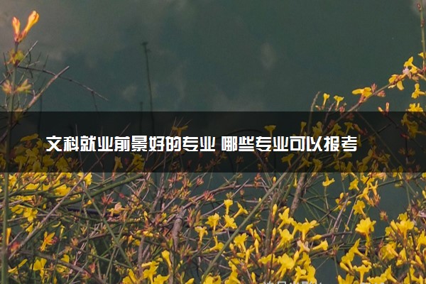 文科就业前景好的专业 哪些专业可以报考