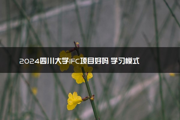 2024四川大学IFC项目好吗 学习模式是怎样的