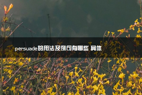 persuade的用法及例句有哪些 具体怎么用