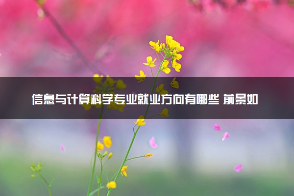 信息与计算科学专业就业方向有哪些 前景如何