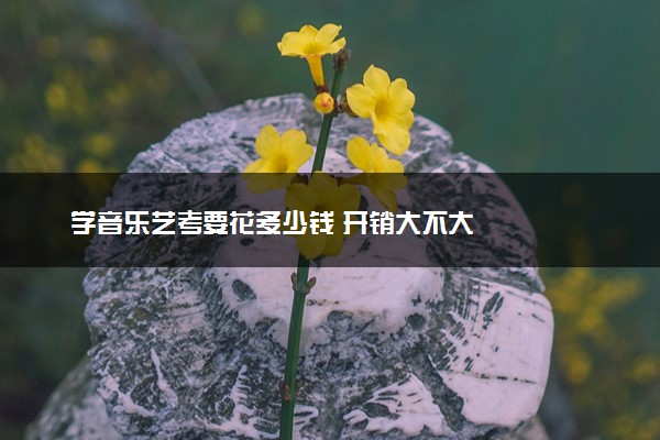 学音乐艺考要花多少钱 开销大不大