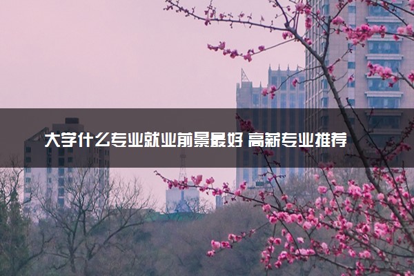 大学什么专业就业前景最好 高薪专业推荐