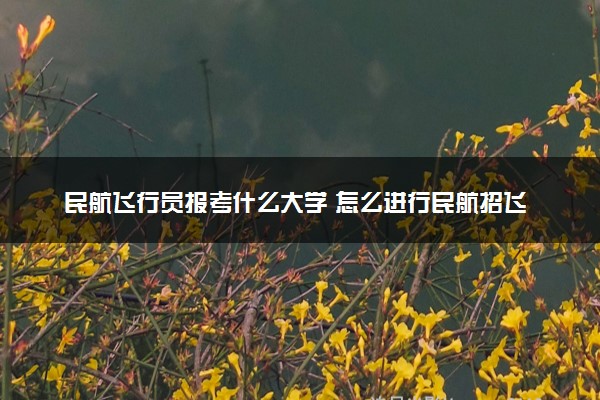 民航飞行员报考什么大学 怎么进行民航招飞