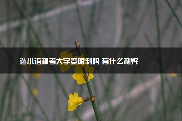 选小语种考大学受限制吗 有什么利弊