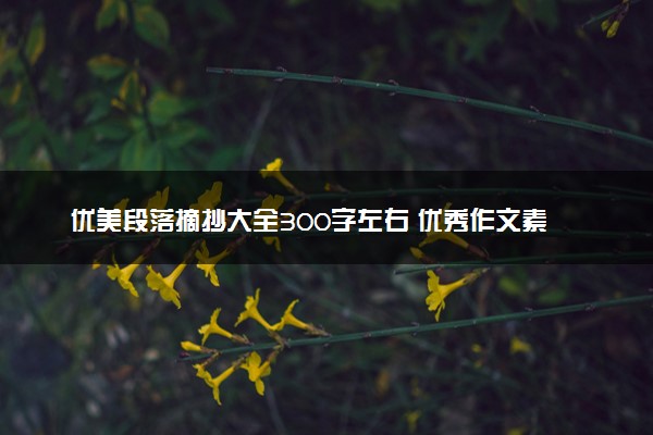 优美段落摘抄大全300字左右 优秀作文素材整理