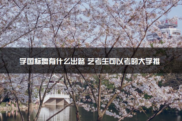 学国标舞有什么出路 艺考生可以考的大学推荐