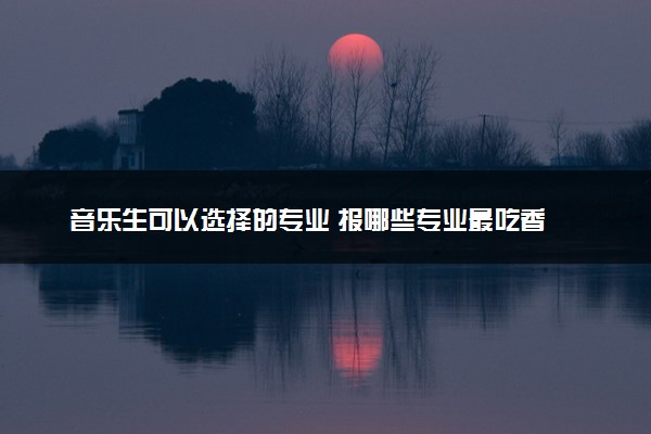 音乐生可以选择的专业 报哪些专业最吃香