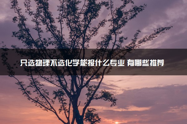 只选物理不选化学能报什么专业 有哪些推荐