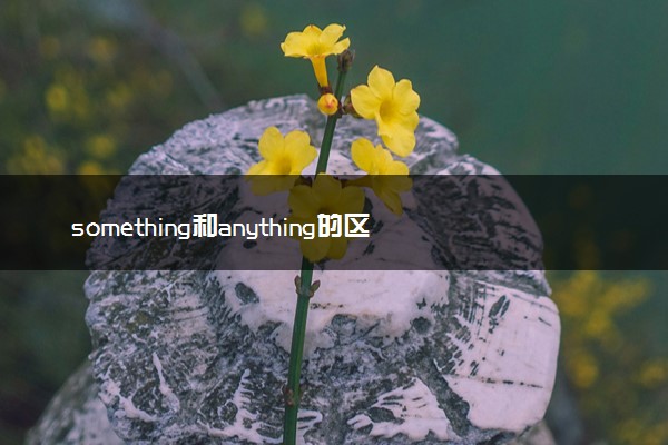 something和anything的区别是什么 有哪些用法