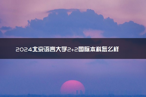 2024北京语言大学2+2国际本科怎么样 值得读吗