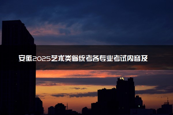 安徽2025艺术类省统考各专业考试内容及分值公布