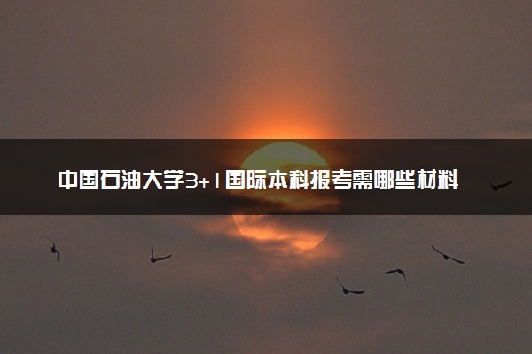 中国石油大学3+1国际本科报考需哪些材料