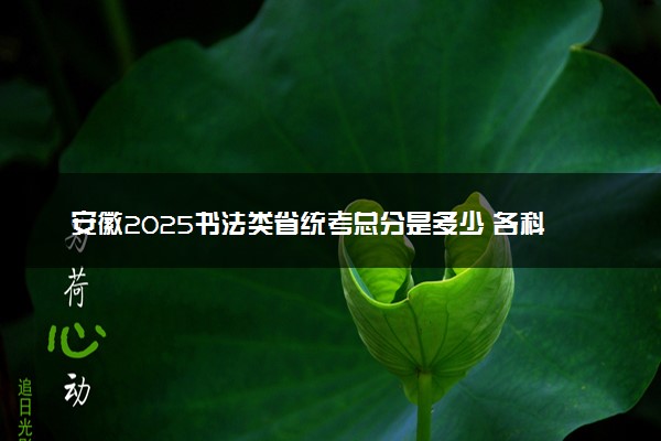 安徽2025书法类省统考总分是多少 各科目分值分布