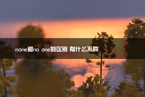 none和no one的区别 有什么不同