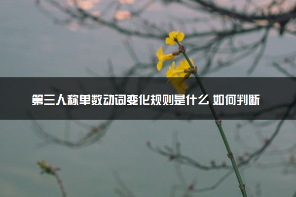 第三人称单数动词变化规则是什么 如何判断加不加s